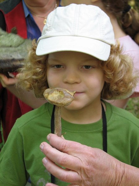 2009 07 Myco Gros taillis 06